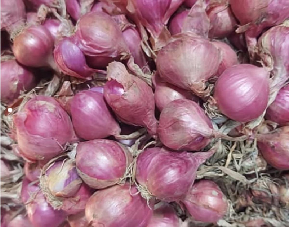 Harga Bawang Merah Naik di 196 Kabupaten/Kota, Tertinggi di Papua